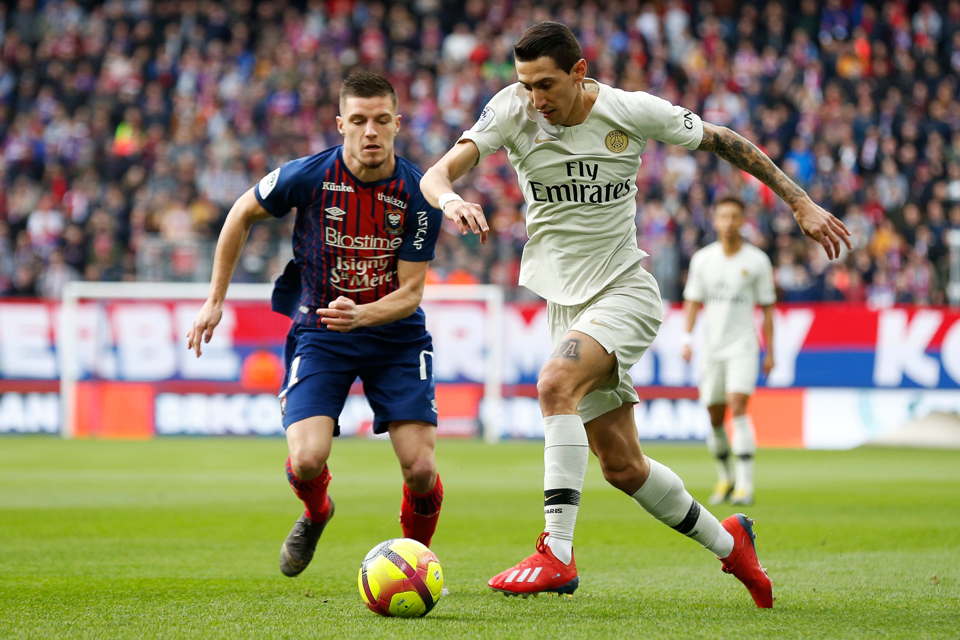 的老练体系 的老练体系